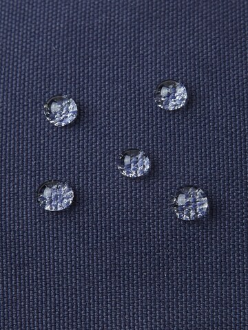 Reima Sporthandschoenen 'Tepas' in Blauw