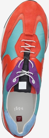 Högl Sneakers laag in Gemengde kleuren