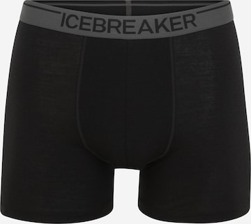 ICEBREAKER Спортивные трусы 'Anatomica' в Черный: спереди