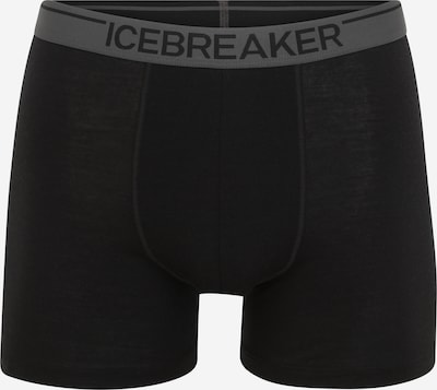 ICEBREAKER Sous-vêtements de sport 'Anatomica' en gris / noir, Vue avec produit