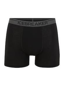 ICEBREAKER Boxer 'Anatomica' in grigio / nero