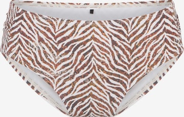 LingaDore Bikini Bottoms in Brown: front