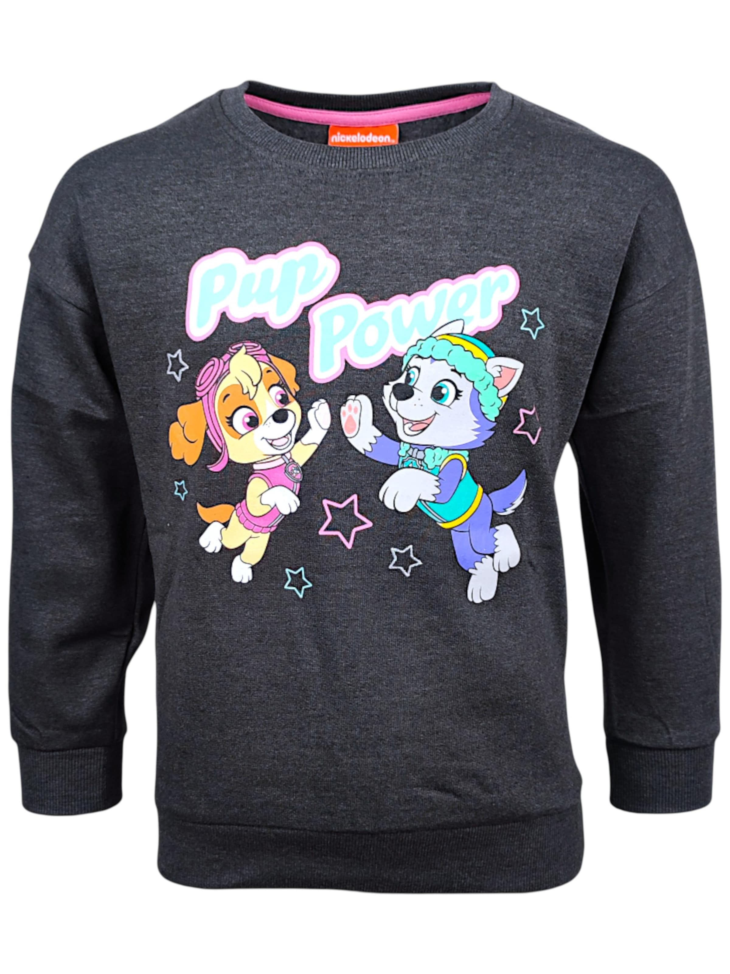 Paw Patrol Sweatshirt 'Skye'‌‌‌‌ in Grau: Vorderseite