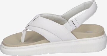 GERRY WEBER T-Bar Sandals 'Aversa 03' in White