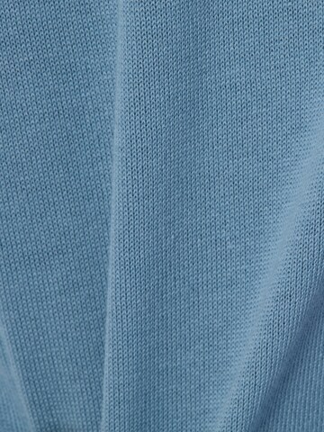 Digel Sweater 'Ferano' in Blue