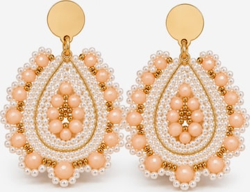 Alster Herz Korvakoru 'Barbados Pearl Blush' värissä oranssi: etupuoli