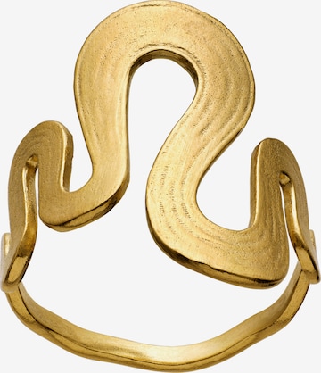Maanesten Ring 'SASJA' in Gold
