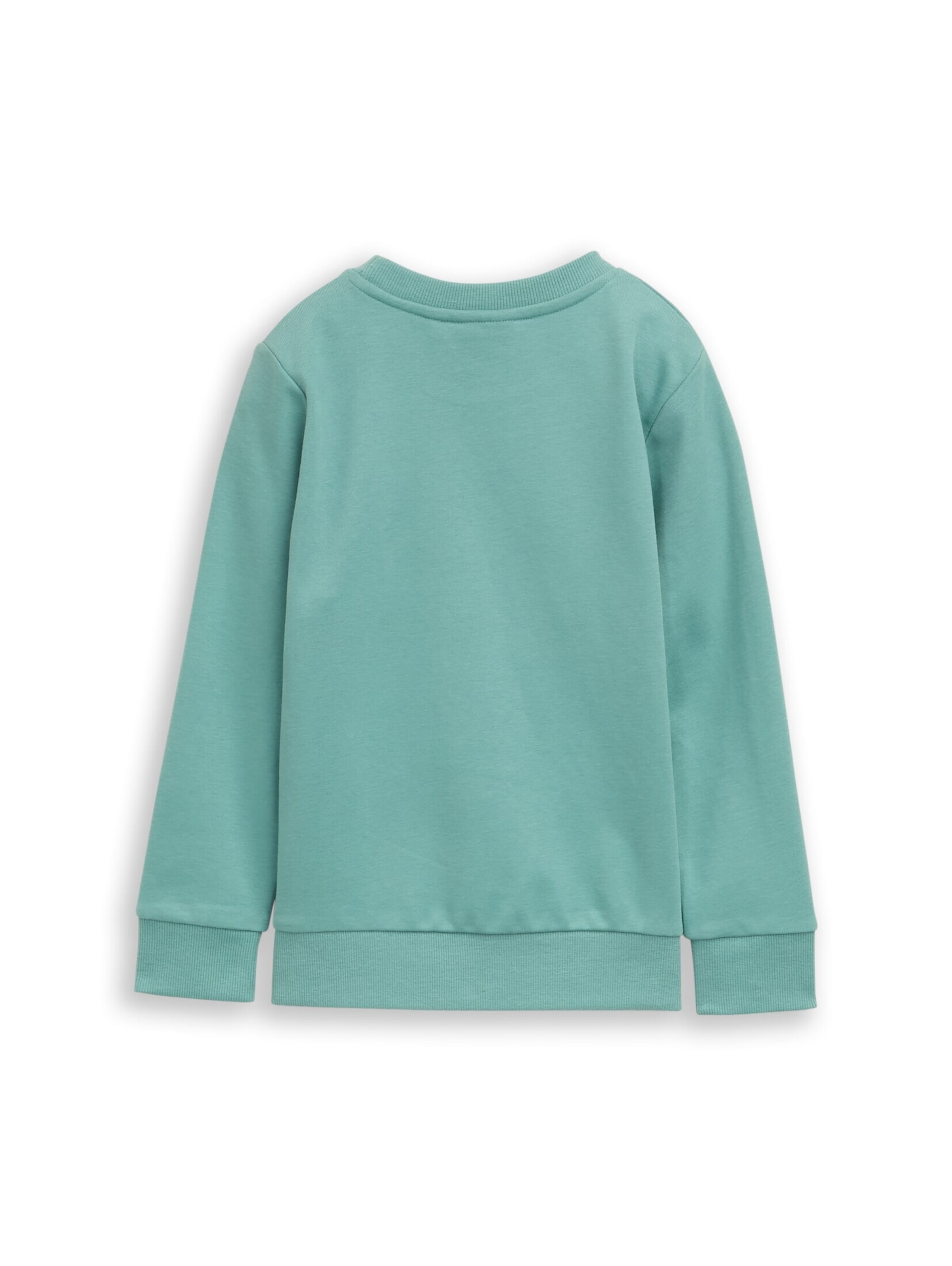 TOM TAILOR Sweatshirt in Groen