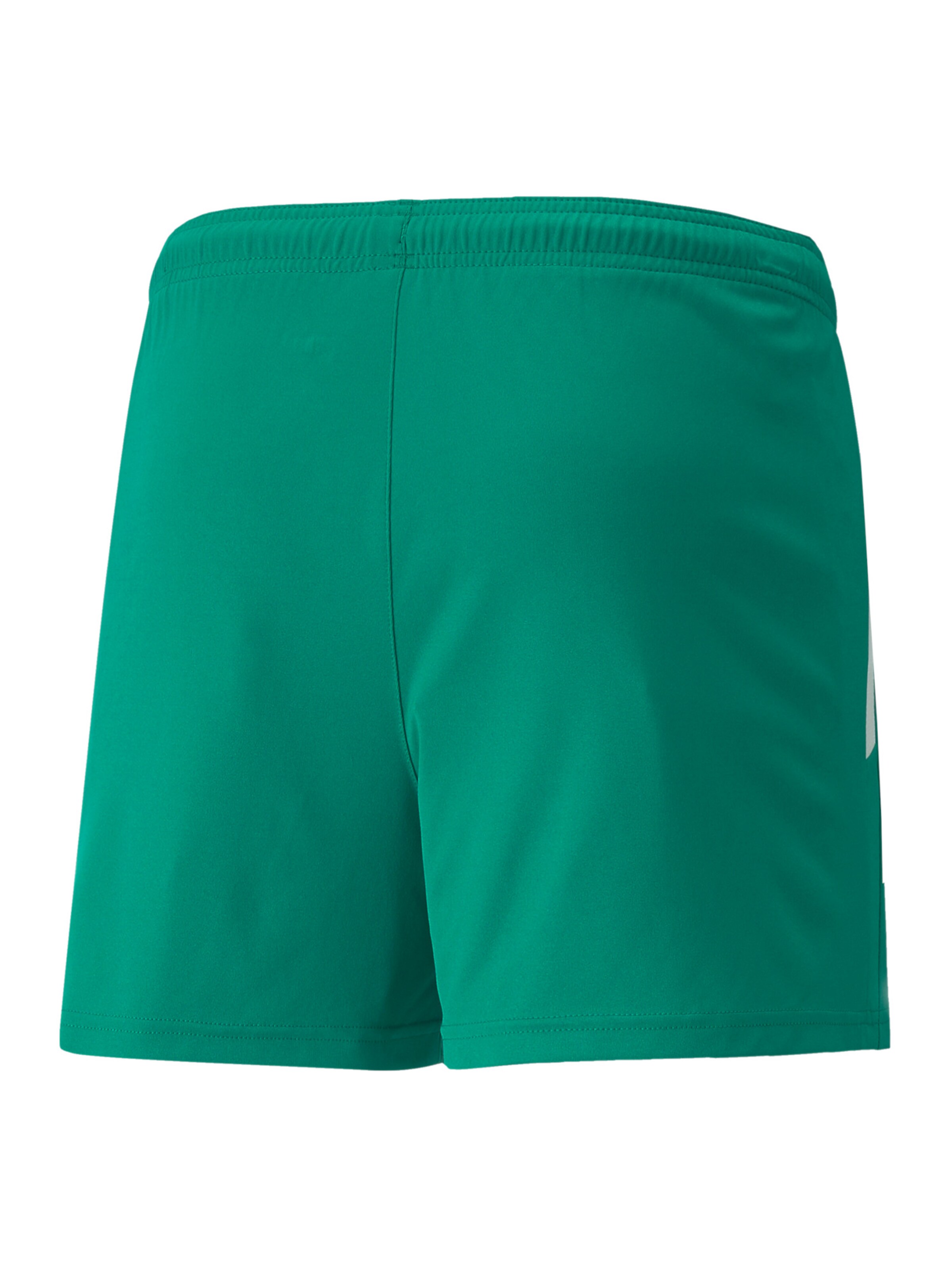 PUMA Regular Workout Pants 'TeamLiga' in Green