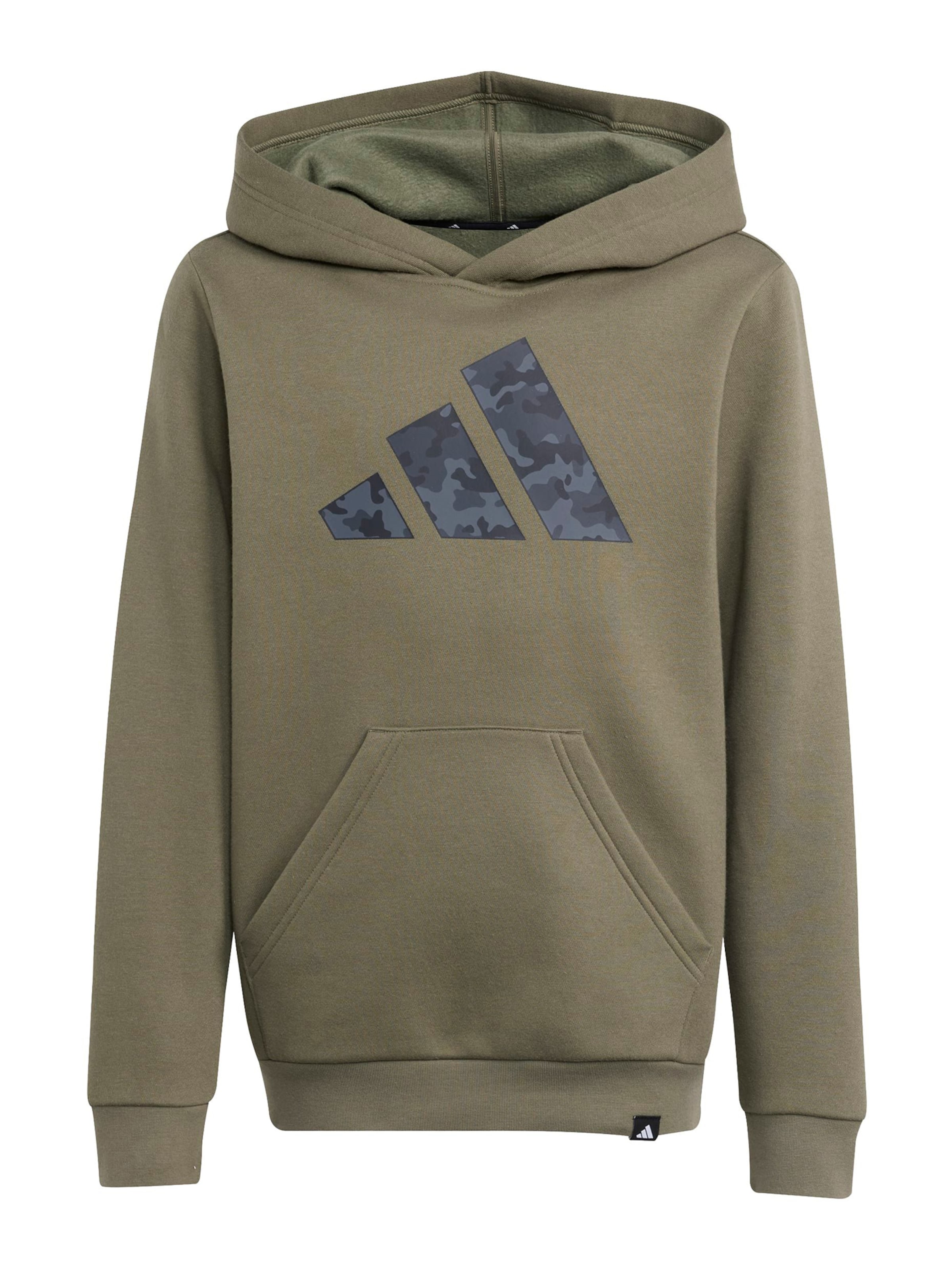 Felpa di ADIDAS SPORTSWEAR in verde: frontale