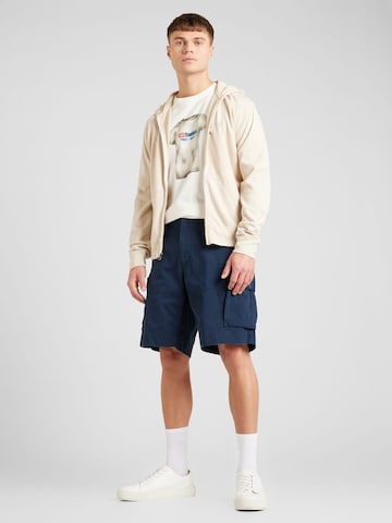 Polo Ralph Lauren Loosefit Shorts 'GELLAR' in Blau