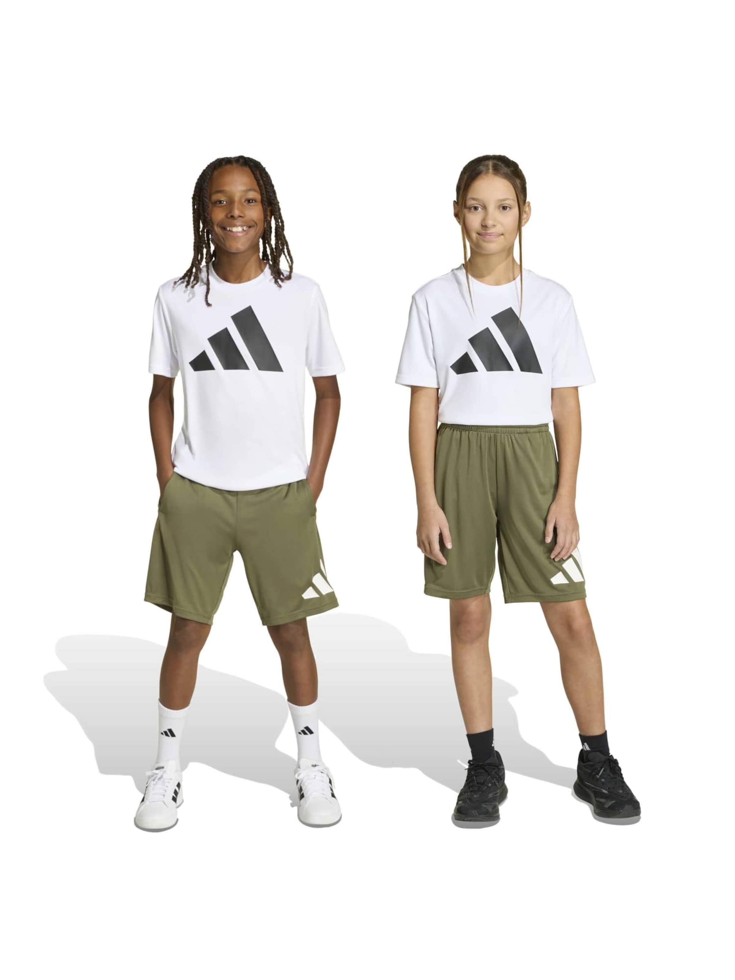 Regular Pantalon de sport 'TR-ES' ADIDAS SPORTSWEAR en vert