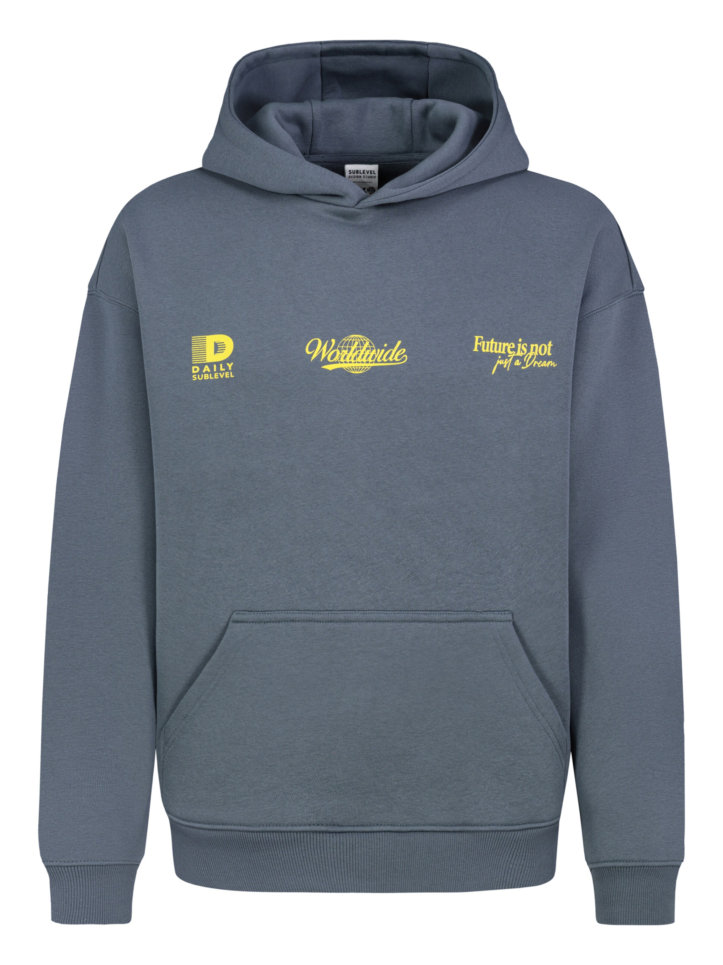 Sublevel Sweatshirt in Blau: Vorderseite