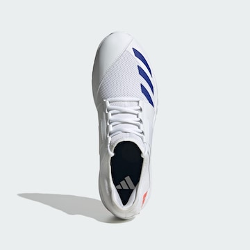 ADIDAS PERFORMANCE Sports shoe 'Howzat Spike 20' in White
