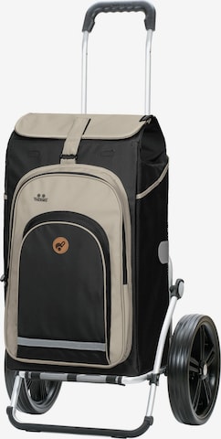 Cabas 'Hydro 2.0' Andersen Shopper en gris : devant