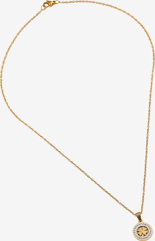 auksinė SOHI Grandinėlė 'Shanene': priekis