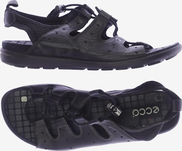 ECCO Sandals & High-Heeled Sandals in 38 in Black: front