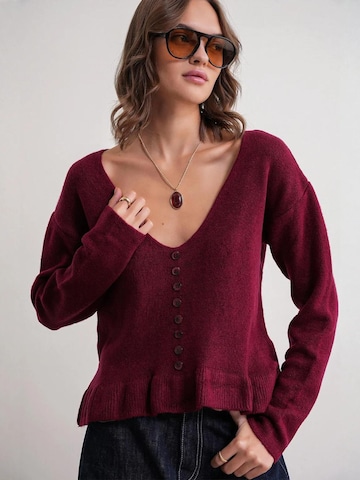 MixRay Pullover 'Pullover'‌‌‌‌ in Rot