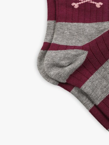 Chaussettes Scalpers en gris