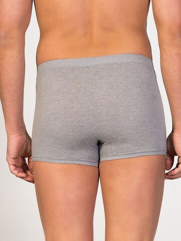 Boxers 'Ikaria Trunk' zd ZERO DEFECTS en gris