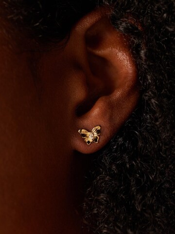 Boucles d'oreilles Lucardi en or : devant