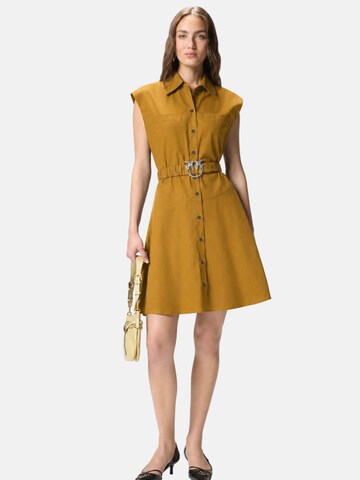 PINKO Kleid 'PINKO ANACETA ABITO POPELINE ABITO'‌‌‌‌ in Braun