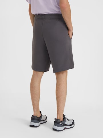 O'NEILL Loosefit Hose in Grau