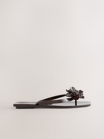 Next Japonke | rjava barva