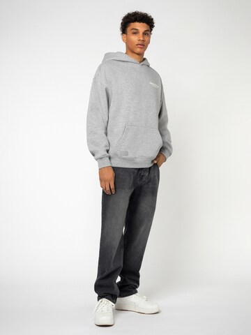 Sublevel Sweatshirt 'Urban' in Grey