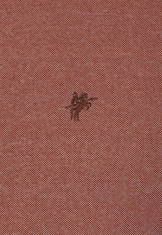 DENIM CULTURE - Camiseta 'CALVIN' en marrón