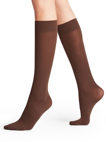 FALKE Over the Knee Socks 'Pure Matt' in Brown: front