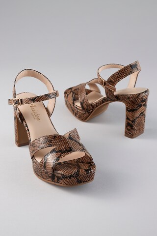 Aniston Pumps in Braun