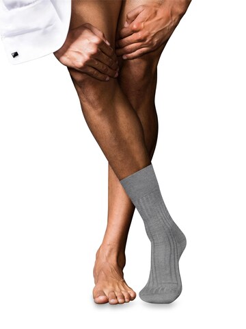 FALKE Socks 'No. 13 Finest Piuma Cotton' in Grey: front