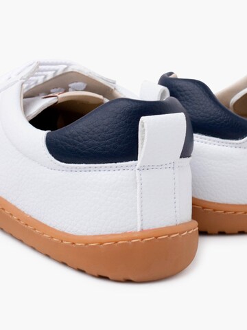Pisamonas Sneakers in Blauw