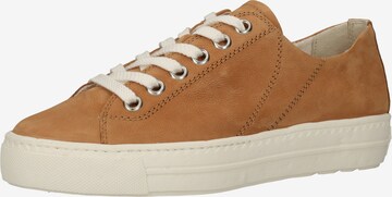 Paul Green Sneakers laag in Bruin: voorkant