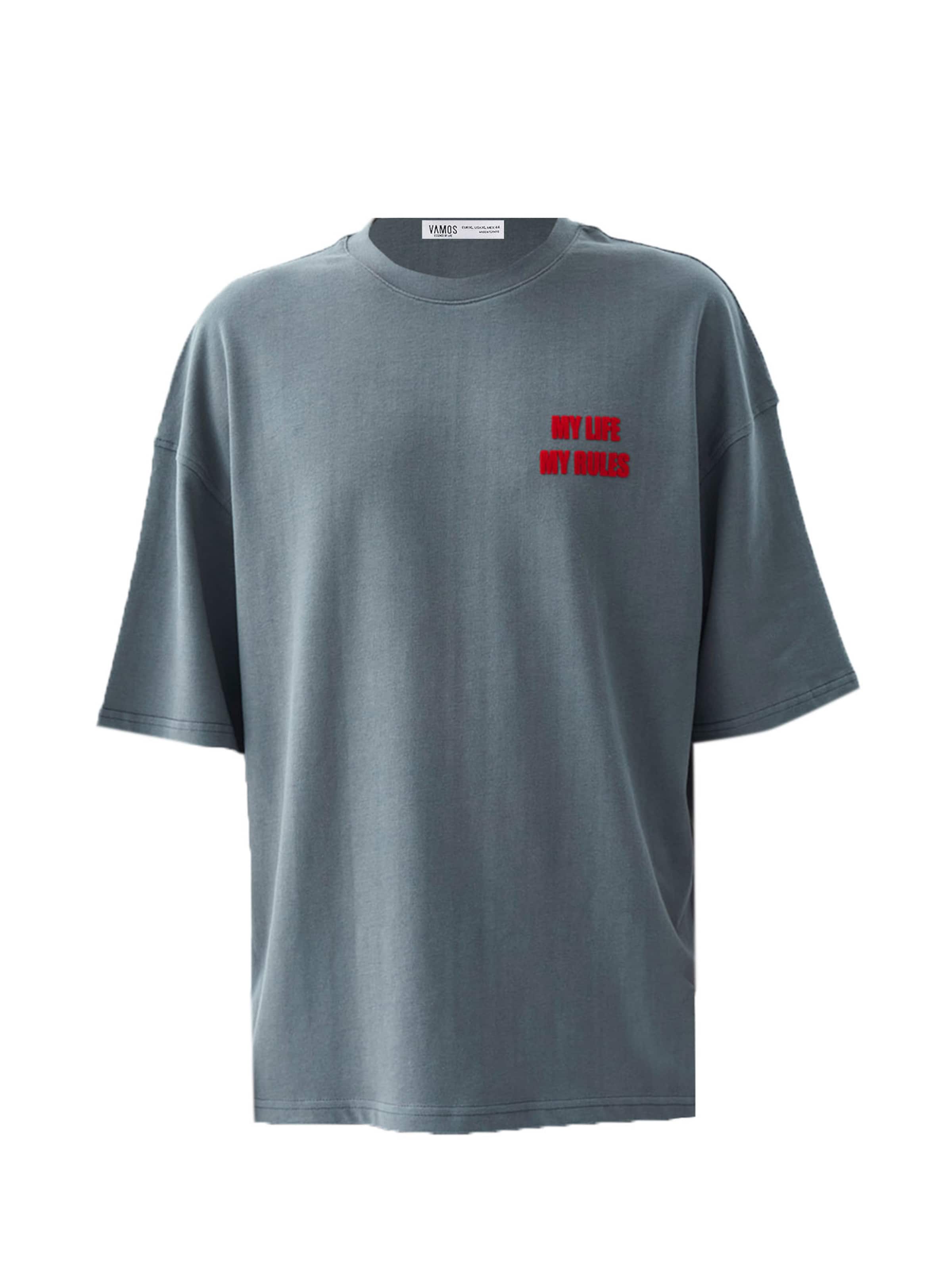 VAMOS CLO Bluser & t-shirts i grå: forside