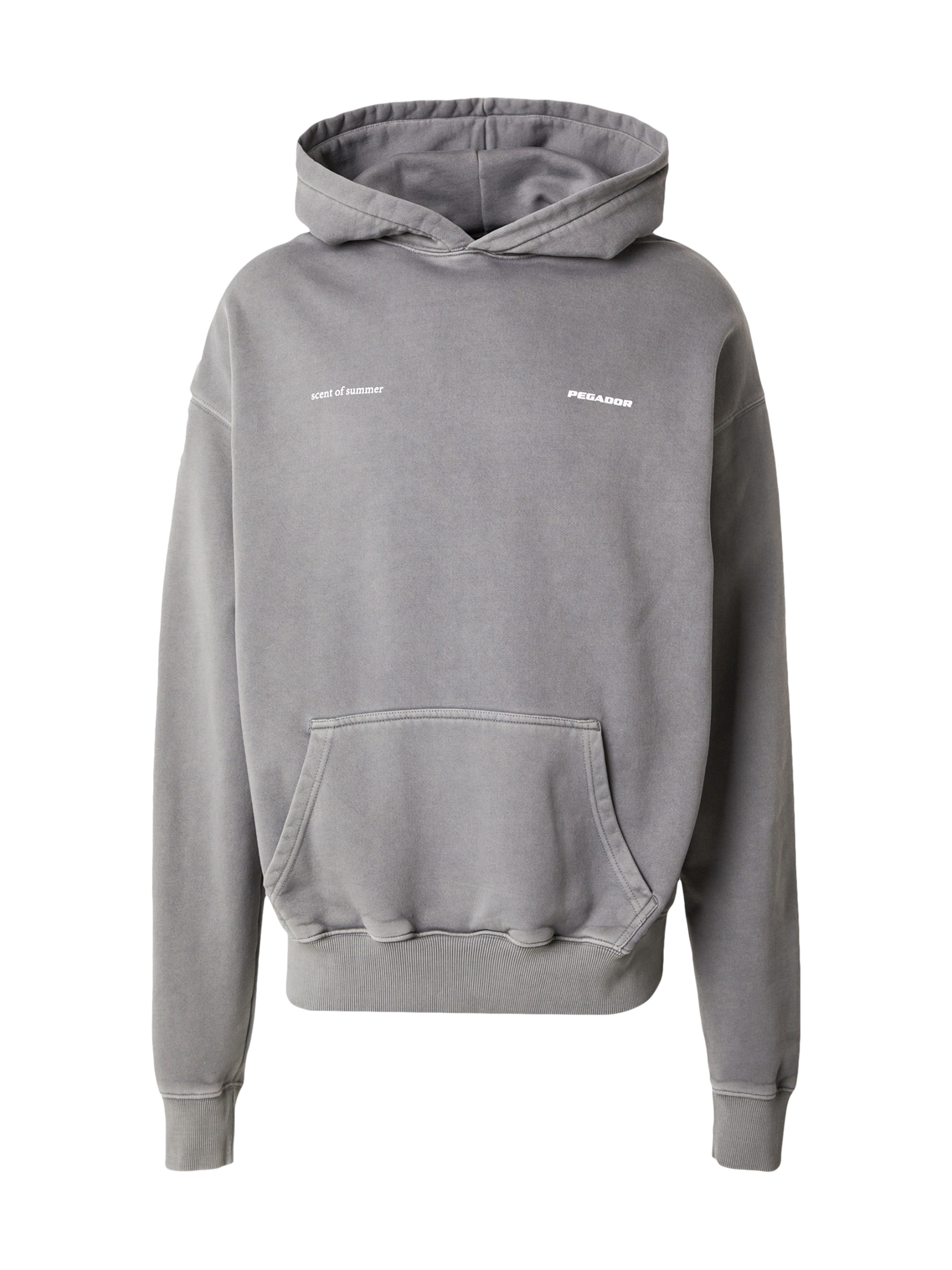 Pegador Sweatshirt 'Sentinal' i grå: framsida