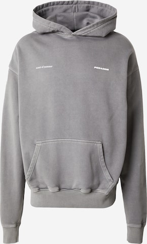 PegadorSweater majica 'Sentinal' - siva boja: prednji dio