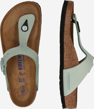 BIRKENSTOCK Žabky 'Gizeh' – zelená