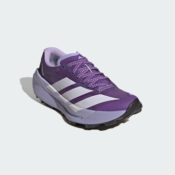 Chaussure basse 'Agravic TT' ADIDAS TERREX en violet