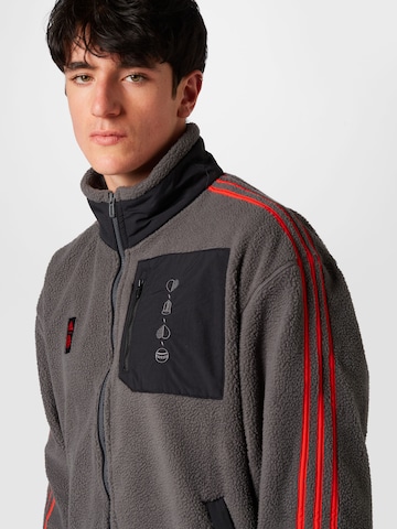 ADIDAS PERFORMANCE Athletic Fleece Jacket 'Fc Bayern Lifestyler' in Grey