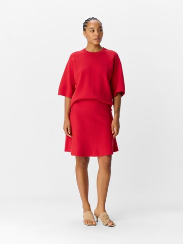 OBJECT Rok 'OBJReynard' in Rood