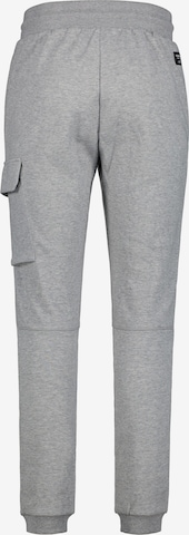 ICEPEAK Tapered Outdoor trousers 'Ashbi' in Grey