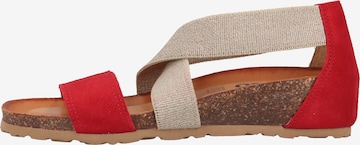 IGI&CO Sandals in Red: front