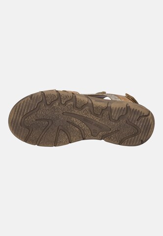 JOSEF SEIBEL Trekkingsandale 'Brenda 03' in Beige
