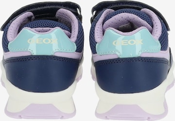 GEOX Sneaker in Blau