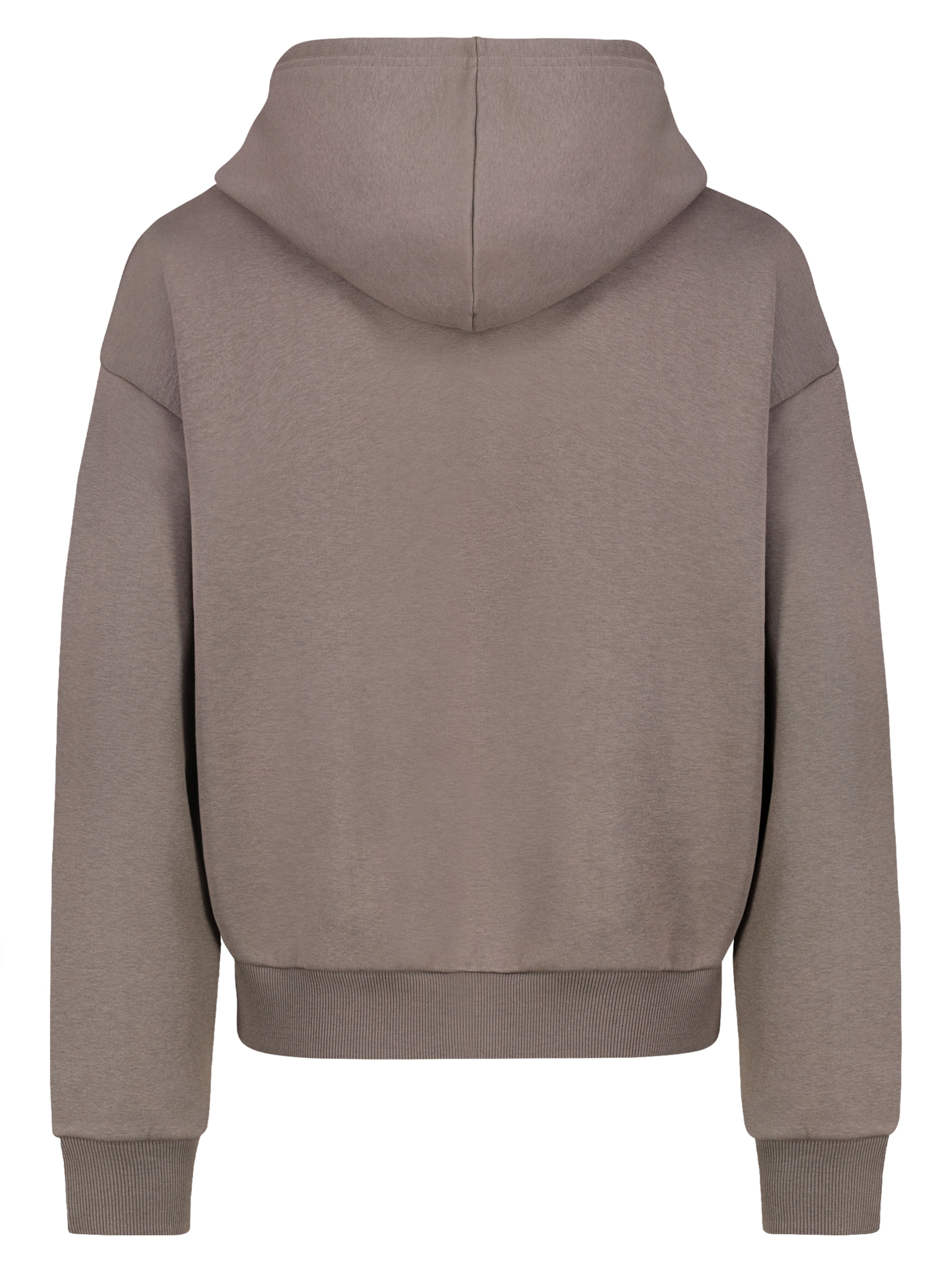 Sublevel Zip-Up Hoodie in Brown