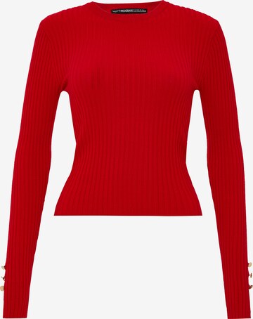Threadbare Pullover 'Hannah' in Rot: predná strana