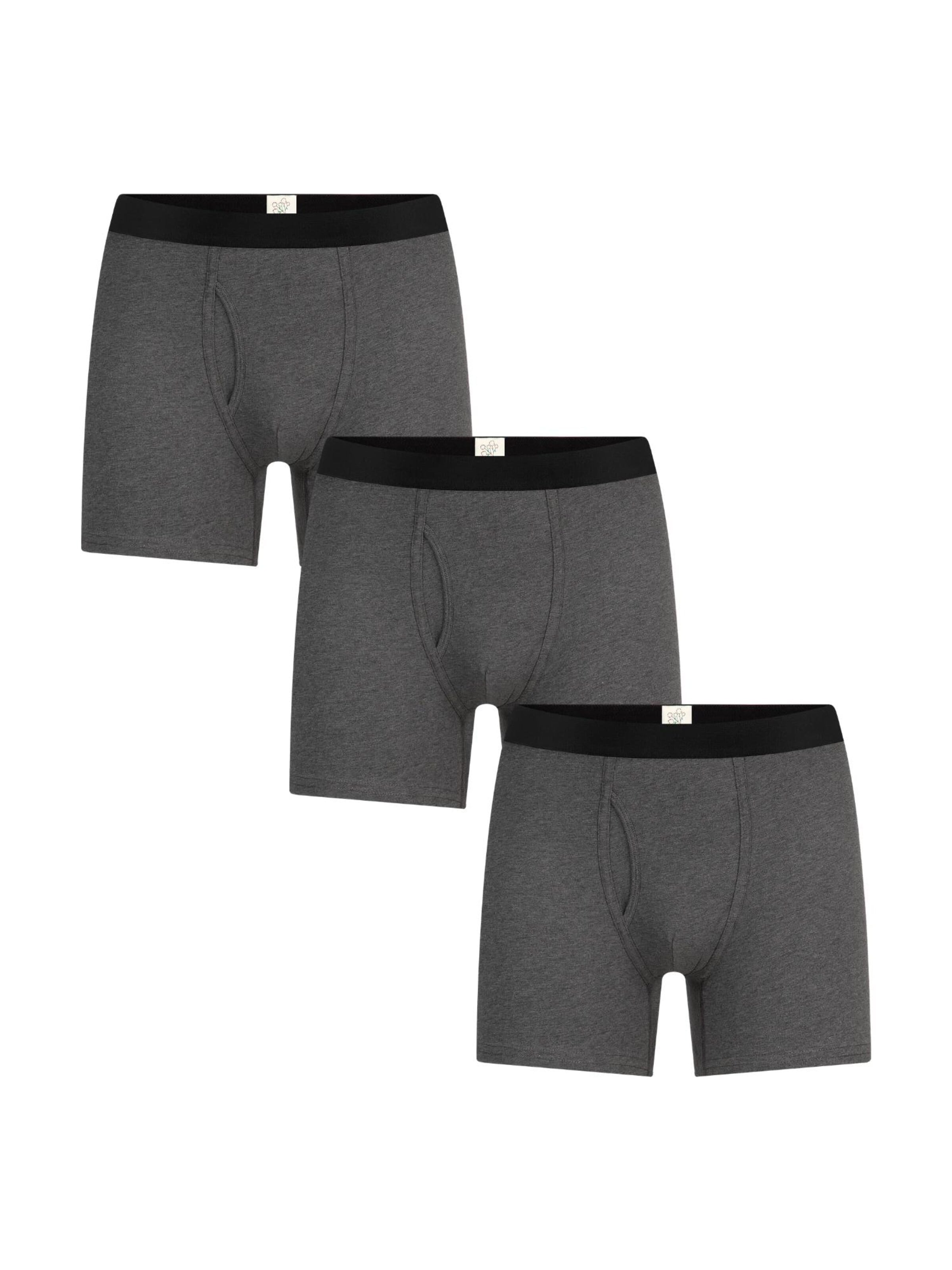 Albero Natur Boxer shorts in Grey: front