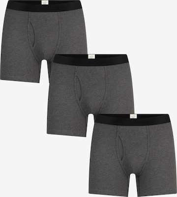 Albero Natur Boxer shorts in Grey: front